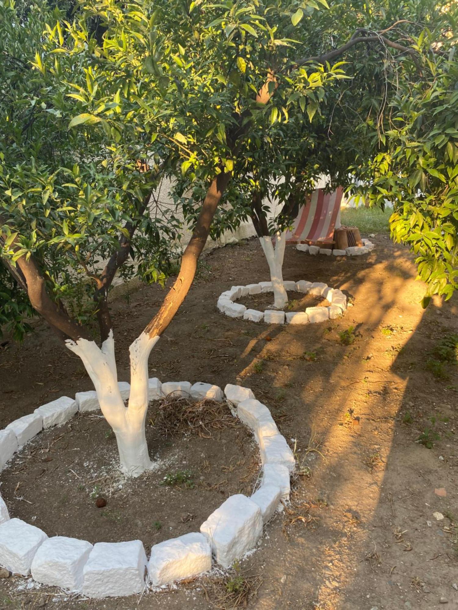 Best Located Ruby Luxury Escape Kalamata Zewnętrze zdjęcie