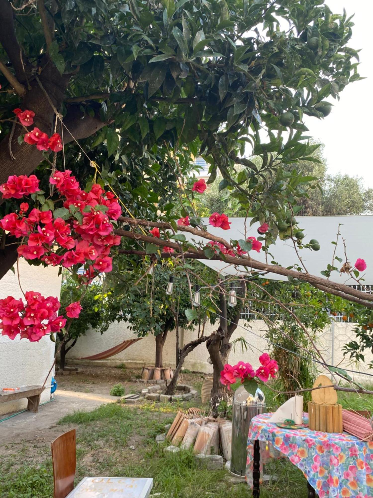 Best Located Ruby Luxury Escape Kalamata Zewnętrze zdjęcie